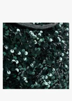 Abro Green Sequin Chain Strap Cross-Body Bag -Daniel Footwear Shop abr 29992 p131550 198255 image