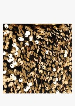 Abro Gold Sequin Chain Strap Cross-Body Bag -Daniel Footwear Shop abr 29992 p131551 198259 image