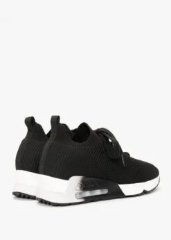 Ash Larsen Black Ribbed Knit Trainers -Daniel Footwear Shop ash larsen p135069 196889 image