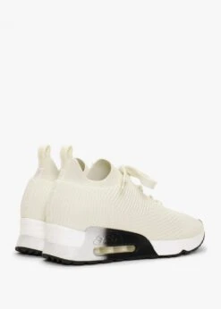Ash Larsen Gardenia Ribbed Knit Trainers -Daniel Footwear Shop ash larsen p135070 196894 image