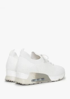 Ash Lunatic White Off White Knitted Trainers -Daniel Footwear Shop ash lunatic it p135072 196904 image