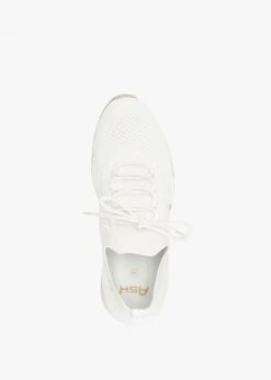 Ash Lunatic White Off White Knitted Trainers -Daniel Footwear Shop ash lunatic it p135072 196906 image