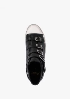 Ash Virgin Black Leather Buckled High Top Trainers -Daniel Footwear Shop ash virgin it p135075 196916 image