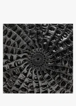 Helena Black Cross-Body Bag -Daniel Footwear Shop bt helena p135870 196220 image