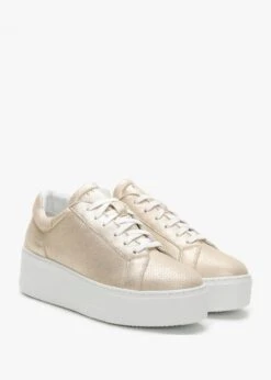 Sibley Gold Leather Perforated Flatform Trainers -Daniel Footwear Shop sibley perf p118205 202430 image